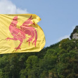 Le rendez-vous des Wallons (et de ceux qui les aiment) ! Discussions locales, bons plans, humour et bonne humeur entre gens du coin. Respect et convivialité avant tout, ambiance garantie !
